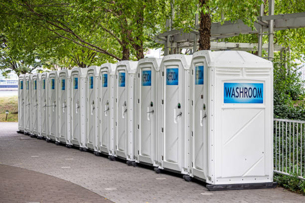Best Affordable portable toilet rental  in Lake Holiday, VA